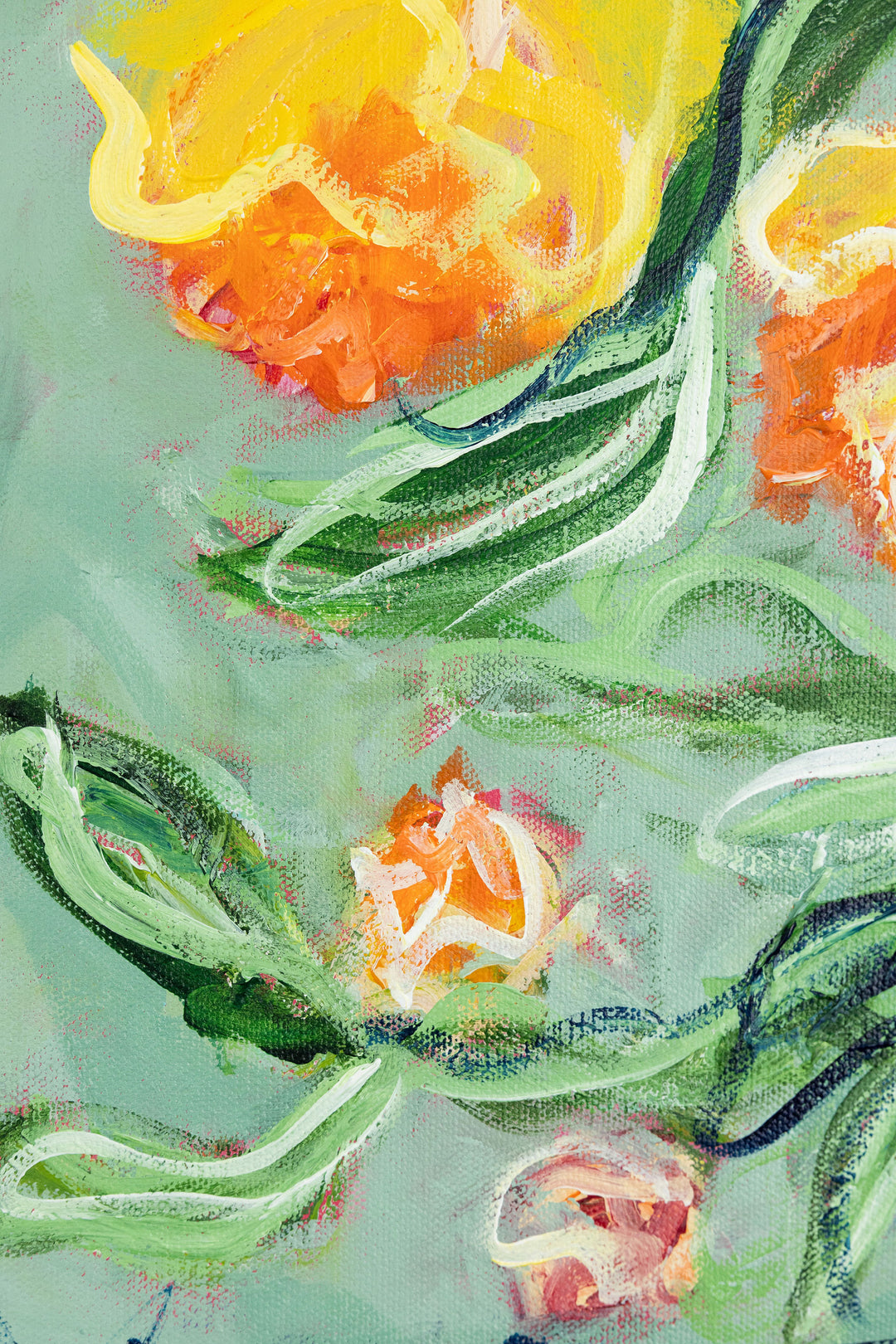 Daffodil Plans - 18 x 24
