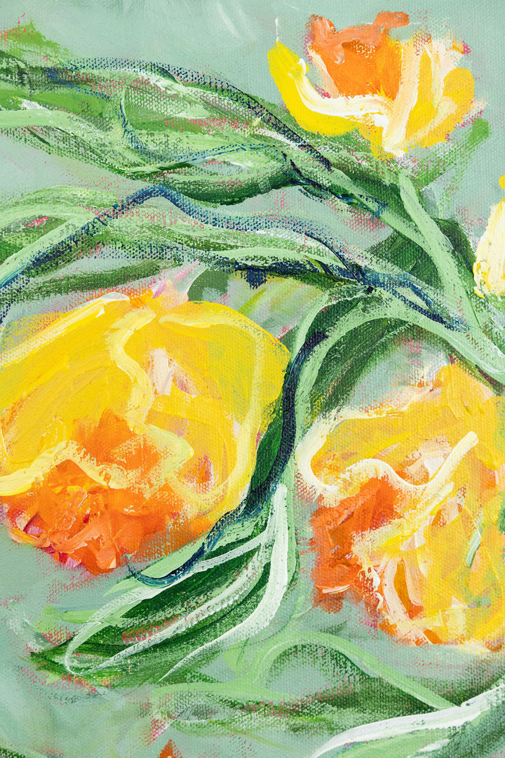 Daffodil Plans - 18 x 24