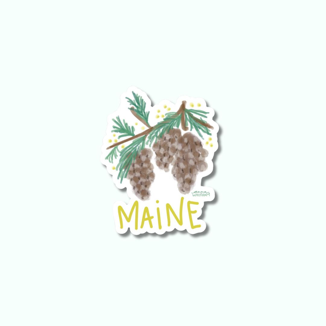 Maine White Pine Cone Sticker