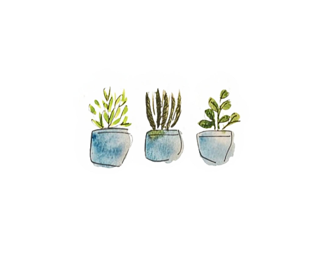 Plants Plants Plants Notecards