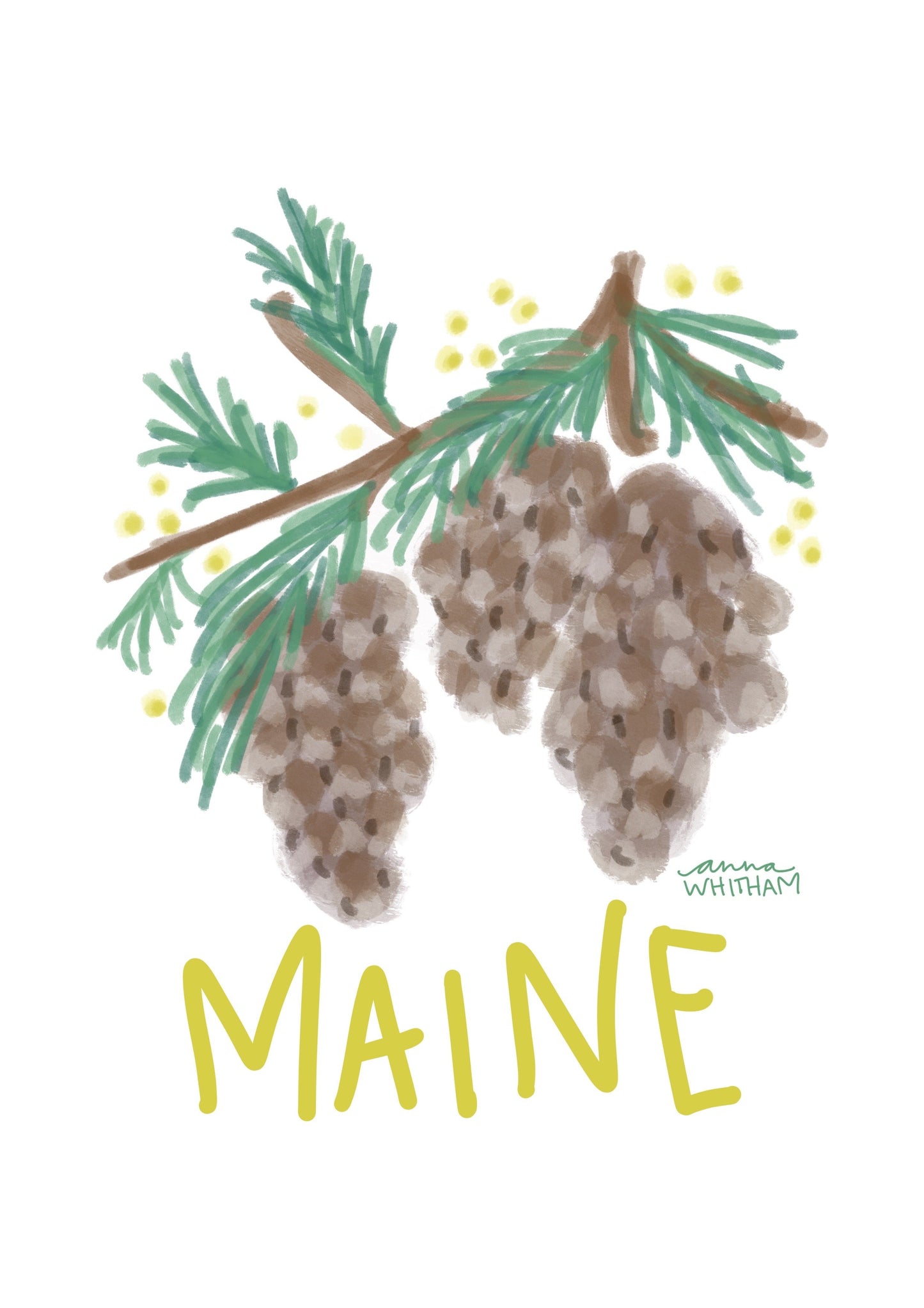 Maine White Pine Cone Sticker